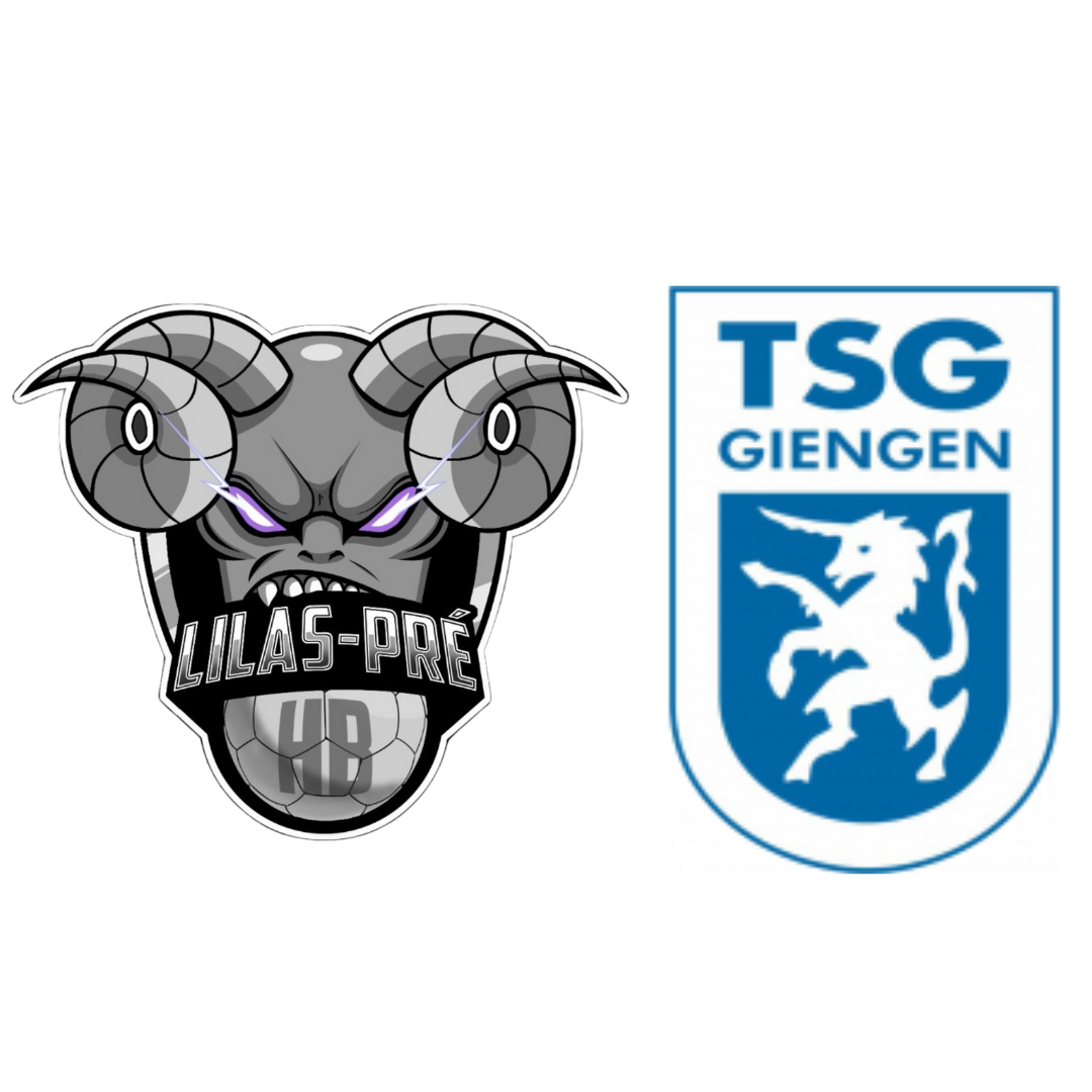Jumelage Giengen